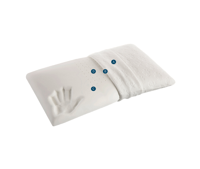 Remove-bg.ai_1691522811880.png
