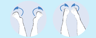 gimnastika3.png gimnastika3.png